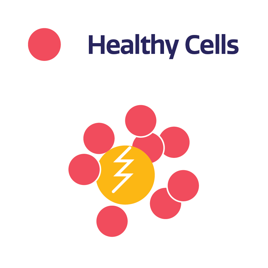 Diagram concept — PARP inhibition and DNA repair (illustrative)